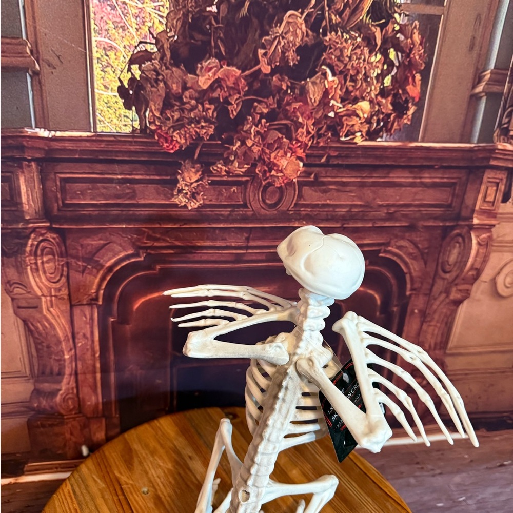 Skeleton Vulture Crow Halloween Bird Decor with Red Eyes Decor Party Craft NWT - Picture 16 of 17